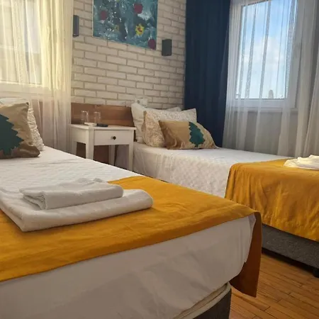 Zurich Oldtown 住宿加早餐酒店 3*